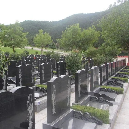 微信图片_202304011125334.png